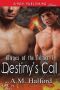 Destiny's Call [Mages of the Nether 1] (Siren Publishing Classic ManLove)